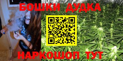стаф Бузулук