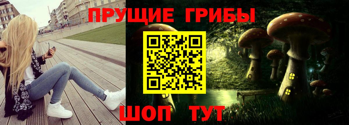 Псилоцибиновые грибы Psilocybe Красноармейск