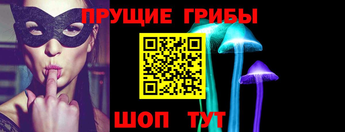 Красноармейск  Псилоцибиновые грибы MAGIC MUSHROOMS  где купить наркотик  Вход с VPN 